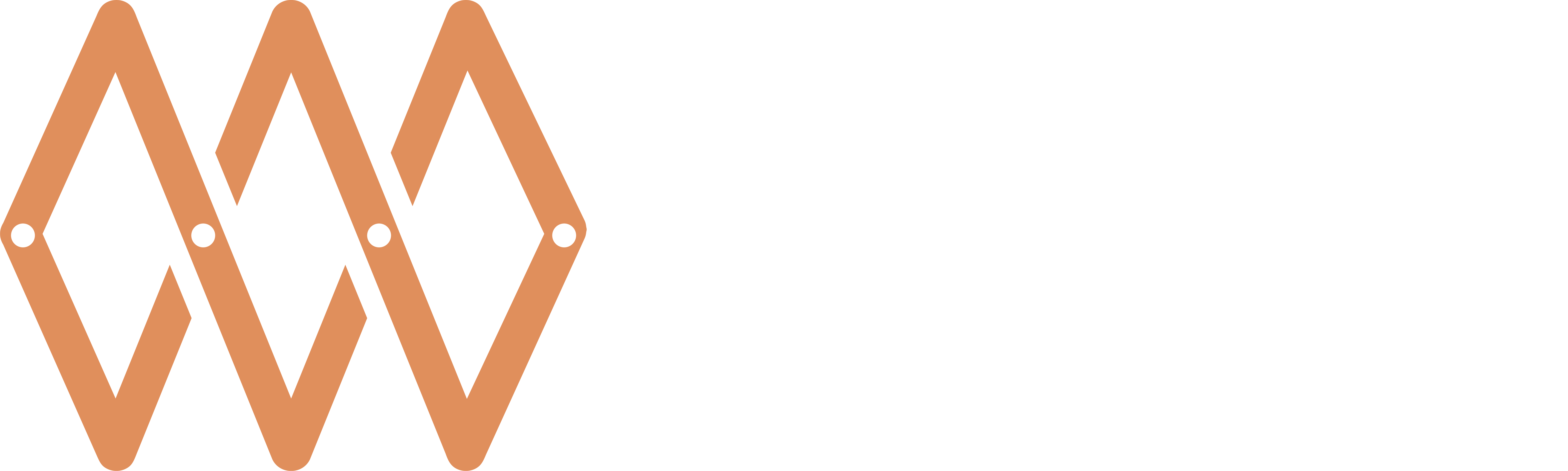 NARAN MANDAL ENTERPRISES LLC